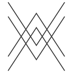 Minespider Logo